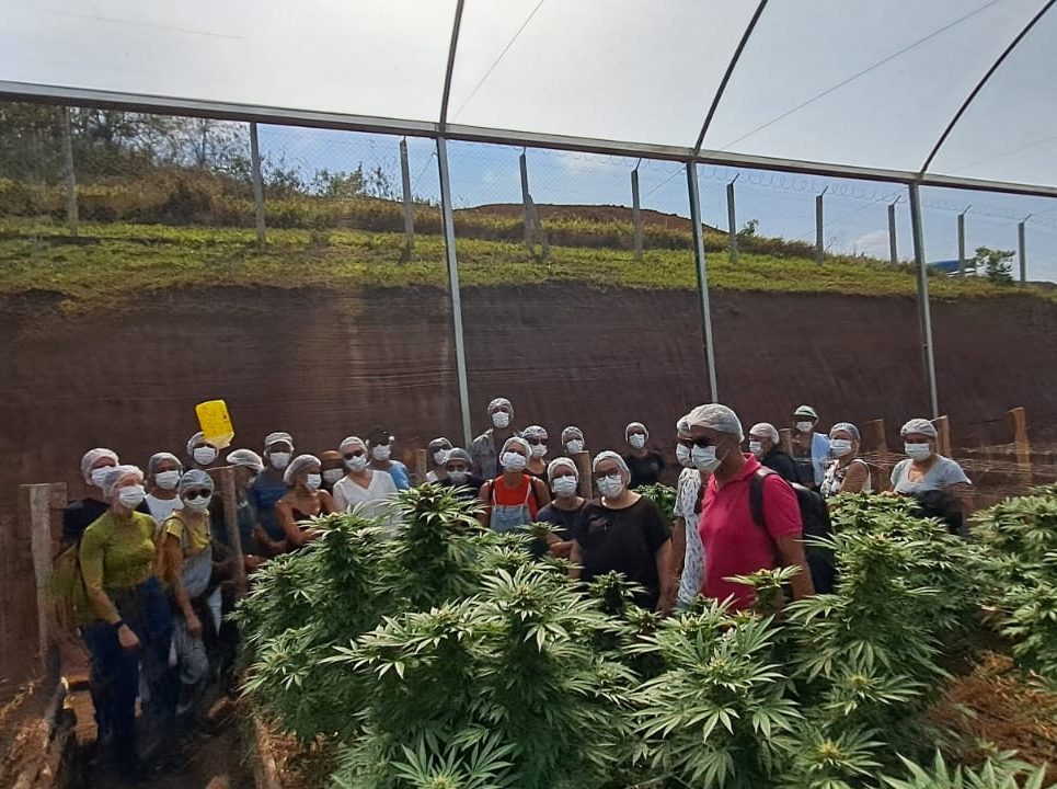 Fazenda Sofia Langanbach Cannabis APEPI Escola